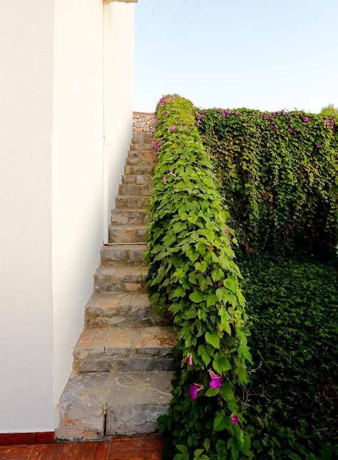 Villa Horizon Dalyan